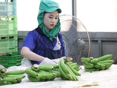 รองอธิบดีกรมส่งเสริมสหกรณ์ ... พารามิเตอร์รูปภาพ 29