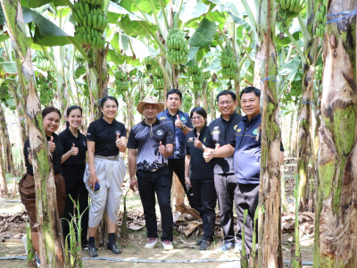 รองอธิบดีกรมส่งเสริมสหกรณ์ ... พารามิเตอร์รูปภาพ 3