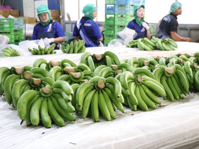 รองอธิบดีกรมส่งเสริมสหกรณ์ ... พารามิเตอร์รูปภาพ 30