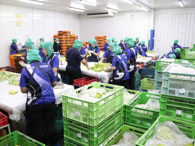 รองอธิบดีกรมส่งเสริมสหกรณ์ ... พารามิเตอร์รูปภาพ 33