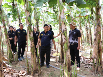 รองอธิบดีกรมส่งเสริมสหกรณ์ ... พารามิเตอร์รูปภาพ 4