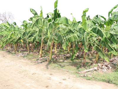 รองอธิบดีกรมส่งเสริมสหกรณ์ ... พารามิเตอร์รูปภาพ 42