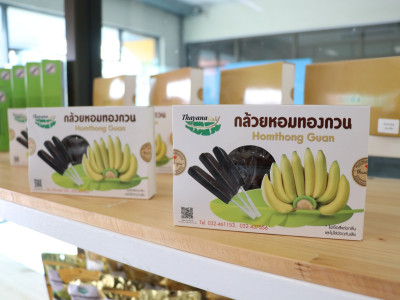 รองอธิบดีกรมส่งเสริมสหกรณ์ ... พารามิเตอร์รูปภาพ 43