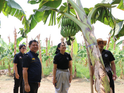 รองอธิบดีกรมส่งเสริมสหกรณ์ ... พารามิเตอร์รูปภาพ 5