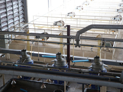 รองอธิบดีกรมส่งเสริมสหกรณ์ เข้าตรวจเยี่ยมสหกรณ์การเกษตรจะนะ ... พารามิเตอร์รูปภาพ 38