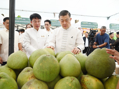 อธิบดีกรมส่งเสริมสหกรณ์ ... พารามิเตอร์รูปภาพ 10