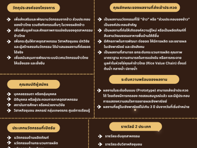โครงการประกวดนวัตกรรมข้าวไทย ปี 2569 พารามิเตอร์รูปภาพ 1