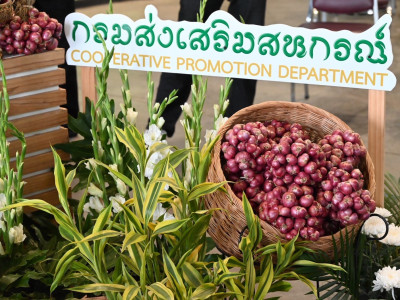 กรมส่งเสริมสหกรณ์ปล่อยคาราวานหอมแดงศรีสะเกษสู่ภาคเหนือเร่งกระจายผลผลิต แก้ปัญหาราคาตกต่ำ ภายใต้แคมเปญ “รักนะ…จึงให้หอม” ... พารามิเตอร์รูปภาพ 9