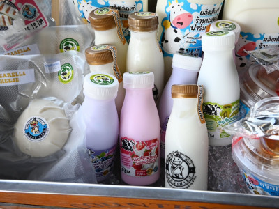 สหกรณ์โคนมฯ ไชยปราการ เจ้าของฉายา ... พารามิเตอร์รูปภาพ 11