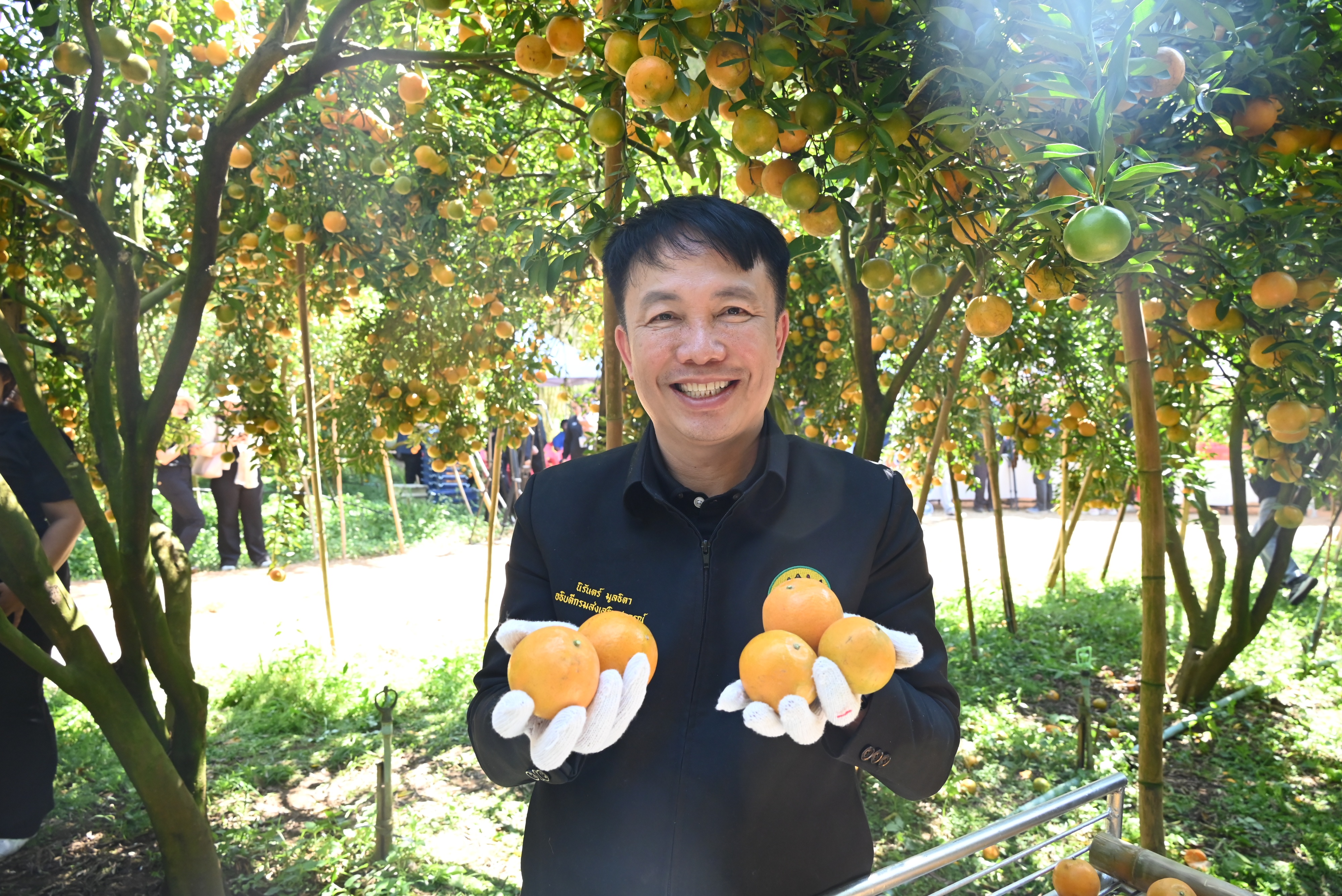 “สายน้ำผึ้งฝาง” ส้มสายน้ำแร่การันตี GI อำเภอฝาง ... พารามิเตอร์รูปภาพ 1