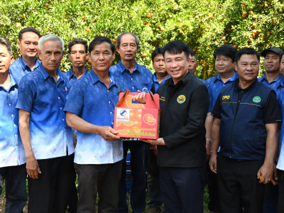 “สายน้ำผึ้งฝาง” ส้มสายน้ำแร่การันตี GI อำเภอฝาง ... พารามิเตอร์รูปภาพ 6