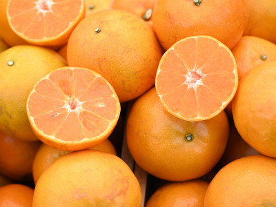 “สายน้ำผึ้งฝาง” ส้มสายน้ำแร่การันตี GI อำเภอฝาง ... พารามิเตอร์รูปภาพ 10