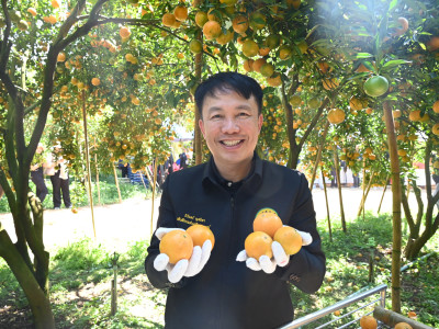 “สายน้ำผึ้งฝาง” ส้มสายน้ำแร่การันตี GI อำเภอฝาง ... พารามิเตอร์รูปภาพ 19