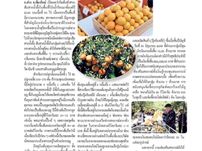 “สายน้ำผึ้งฝาง” ส้มสายน้ำแร่การันตี GI อำเภอฝาง ... พารามิเตอร์รูปภาพ 21