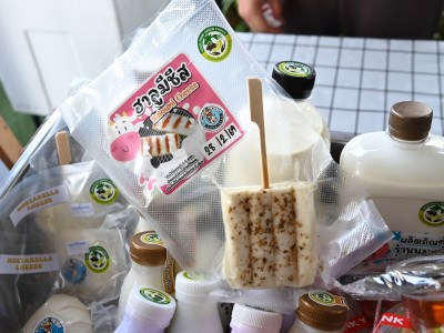 สหกรณ์โคนมฯไชยปราการ เชียงใหม่ ผนึกกลุ่มดัชมิลล์ ... พารามิเตอร์รูปภาพ 1