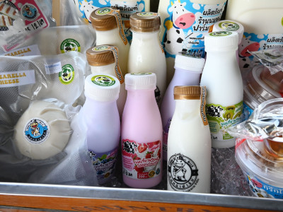 สหกรณ์โคนมฯไชยปราการ เชียงใหม่ ผนึกกลุ่มดัชมิลล์ ... พารามิเตอร์รูปภาพ 9