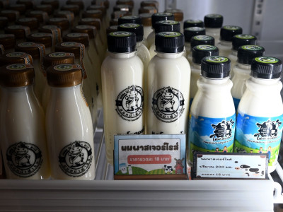 สหกรณ์โคนมฯไชยปราการ เชียงใหม่ ผนึกกลุ่มดัชมิลล์ ... พารามิเตอร์รูปภาพ 11