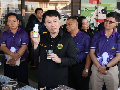 สหกรณ์โคนมฯไชยปราการ เชียงใหม่ ผนึกกลุ่มดัชมิลล์ ... พารามิเตอร์รูปภาพ 14