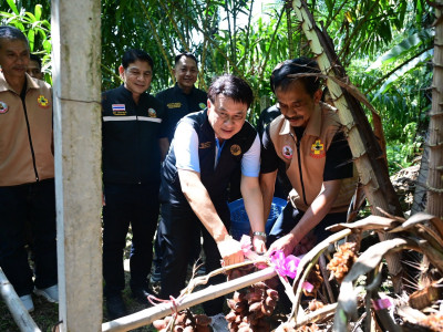 นายนเรศ ธำรงค์ทิพยคุณ ... พารามิเตอร์รูปภาพ 12