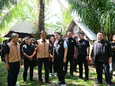 นายนเรศ ธำรงค์ทิพยคุณ ... พารามิเตอร์รูปภาพ 13