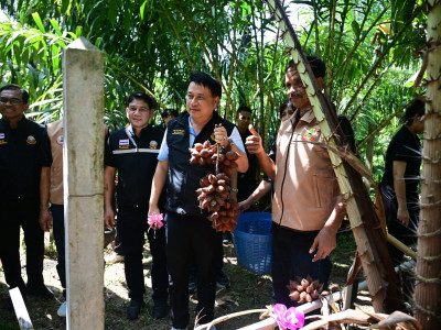 นายนเรศ ธำรงค์ทิพยคุณ ... พารามิเตอร์รูปภาพ 16