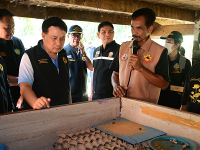 นายนเรศ ธำรงค์ทิพยคุณ ... พารามิเตอร์รูปภาพ 7