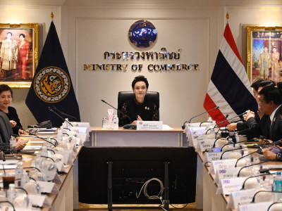 นางศุภจี สุธรรมพันธุ์ ... พารามิเตอร์รูปภาพ 8