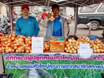 กรมส่งเสริมสหกรณ์ ... พารามิเตอร์รูปภาพ 3