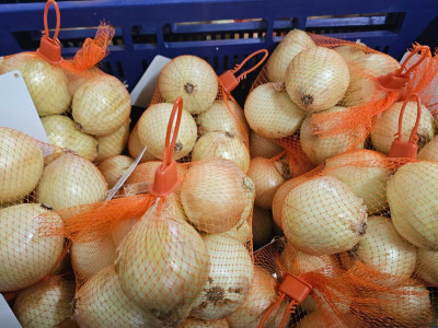 กรมส่งเสริมสหกรณ์ ... พารามิเตอร์รูปภาพ 8