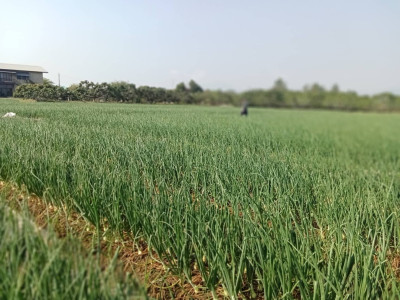 กรมส่งเสริมสหกรณ์ ... พารามิเตอร์รูปภาพ 10