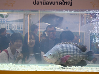 สมเด็จพระกนิษฐาธิราชเจ้า กรมสมเด็จพระเทพรัตนราชสุดา ฯ ... พารามิเตอร์รูปภาพ 22