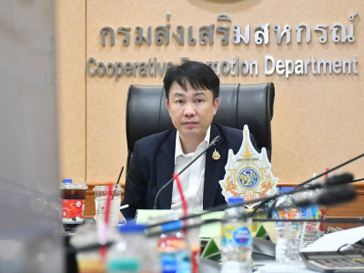 อธิบดีกรมส่งเสริมสหกรณ์ ... พารามิเตอร์รูปภาพ 8