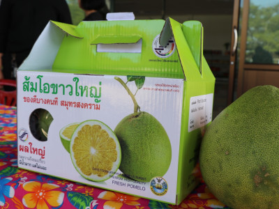 รองอธิบดีกรมส่งเสริมสหกรณ์ ... พารามิเตอร์รูปภาพ 24