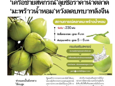 สหกรณ์ฯมะพร้าวน้ำหอมแปลงใหญ่วัดเพลง ต้นแบบสหกรณ์ ... พารามิเตอร์รูปภาพ 20