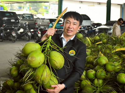 สหกรณ์ฯมะพร้าวน้ำหอมแปลงใหญ่วัดเพลง ต้นแบบสหกรณ์ ... พารามิเตอร์รูปภาพ 2