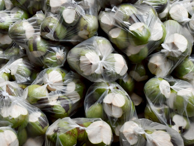 สหกรณ์ฯมะพร้าวน้ำหอมแปลงใหญ่วัดเพลง ต้นแบบสหกรณ์ ... พารามิเตอร์รูปภาพ 3