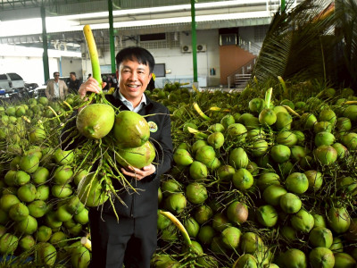 สหกรณ์ฯมะพร้าวน้ำหอมแปลงใหญ่วัดเพลง ต้นแบบสหกรณ์ ... พารามิเตอร์รูปภาพ 7