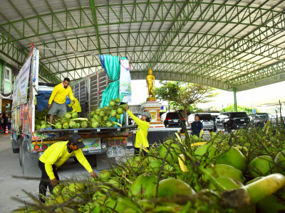 สหกรณ์ฯมะพร้าวน้ำหอมแปลงใหญ่วัดเพลง ต้นแบบสหกรณ์ ... พารามิเตอร์รูปภาพ 9