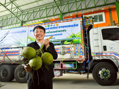 สหกรณ์ฯมะพร้าวน้ำหอมแปลงใหญ่วัดเพลง ต้นแบบสหกรณ์ ... พารามิเตอร์รูปภาพ 14