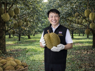 กรมส่งเสริมสหกรณ์เปิด 4 มาตรการรับมือผลไม้ปี 2569 ... พารามิเตอร์รูปภาพ 1