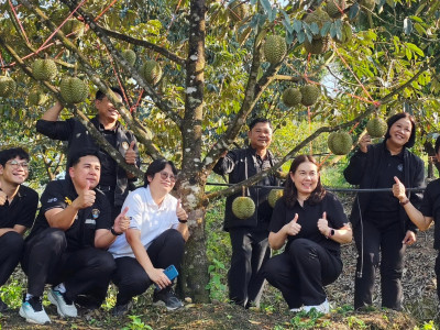 กรมส่งเสริมสหกรณ์เปิด 4 มาตรการรับมือผลไม้ปี 2569 ... พารามิเตอร์รูปภาพ 2