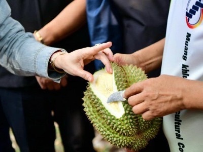 กรมส่งเสริมสหกรณ์เปิด 4 มาตรการรับมือผลไม้ปี 2569 ... พารามิเตอร์รูปภาพ 6