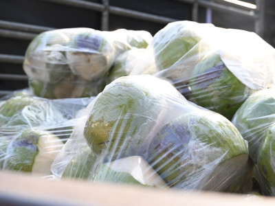 อธิบดีนิรันดร์ Kick Off ... พารามิเตอร์รูปภาพ 9