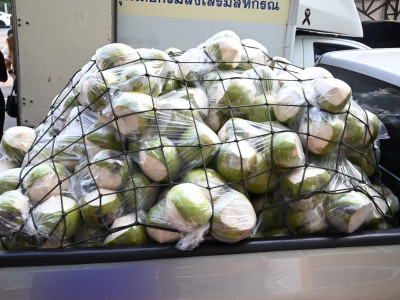 อธิบดีนิรันดร์ Kick Off ... พารามิเตอร์รูปภาพ 11