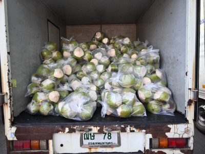 อธิบดีนิรันดร์ Kick Off ... พารามิเตอร์รูปภาพ 13