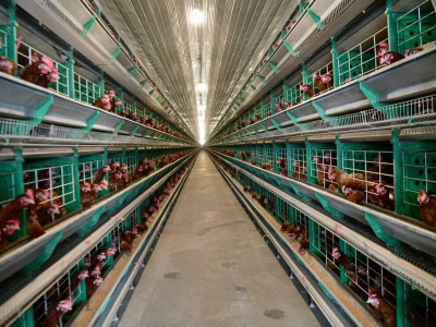 อธิบดีนิรันดร์ “สั่งเตรียมพร้อมสหกรณ์รับมือน้ำมันแพง ... พารามิเตอร์รูปภาพ 2