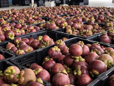 อธิบดีนิรันดร์ “สั่งเตรียมพร้อมสหกรณ์รับมือน้ำมันแพง ... พารามิเตอร์รูปภาพ 4