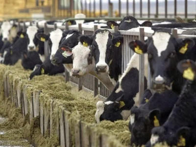 อธิบดีนิรันดร์ “สั่งเตรียมพร้อมสหกรณ์รับมือน้ำมันแพง ... พารามิเตอร์รูปภาพ 5