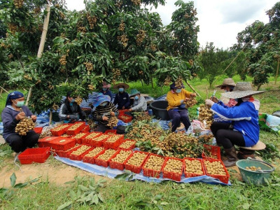 อธิบดีนิรันดร์ “สั่งเตรียมพร้อมสหกรณ์รับมือน้ำมันแพง ... พารามิเตอร์รูปภาพ 8