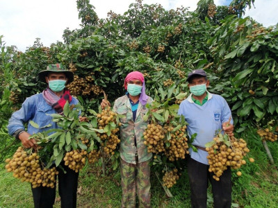 อธิบดีนิรันดร์ “สั่งเตรียมพร้อมสหกรณ์รับมือน้ำมันแพง ... พารามิเตอร์รูปภาพ 9
